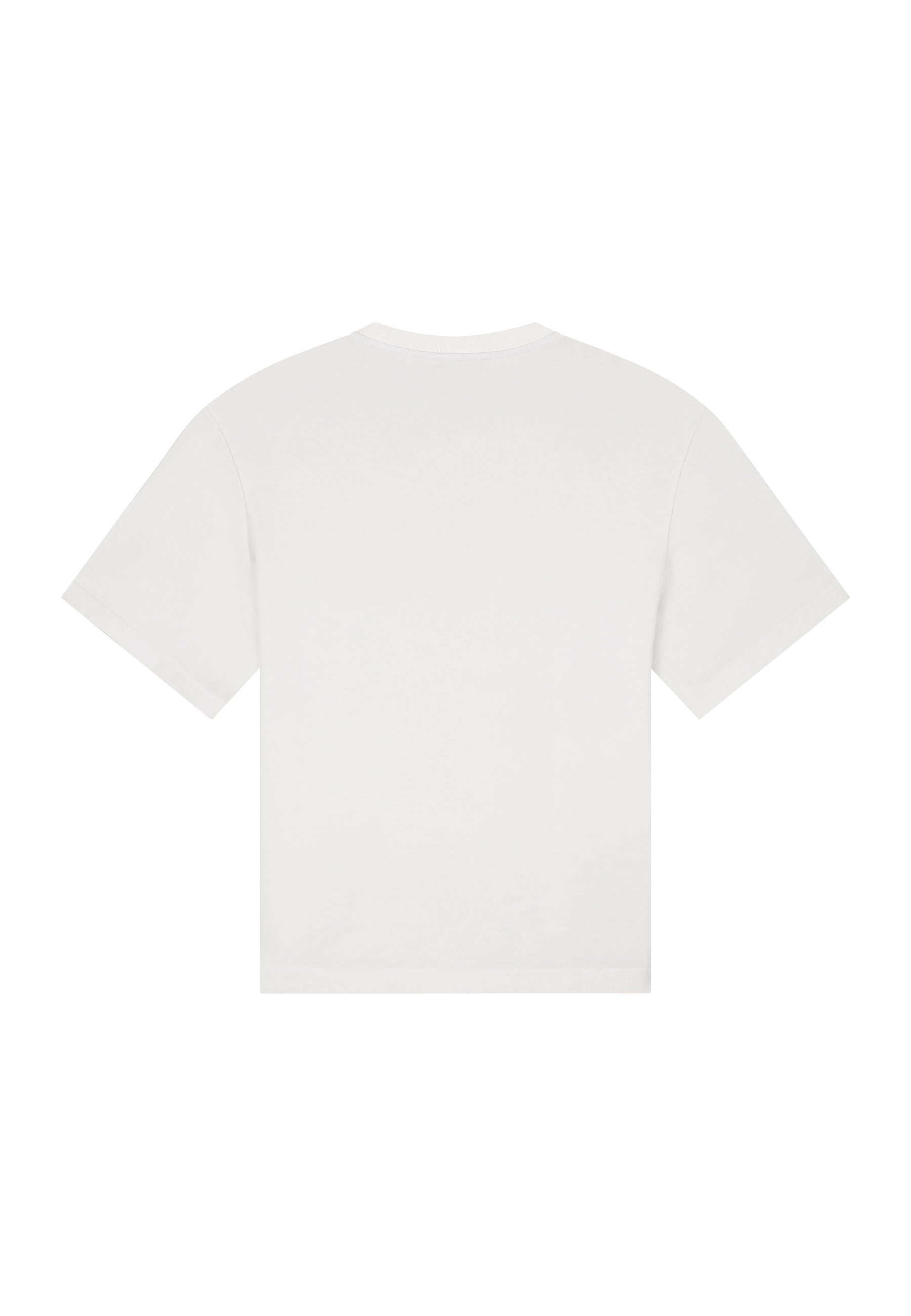 NLT Graphic Tee - Washed off-White